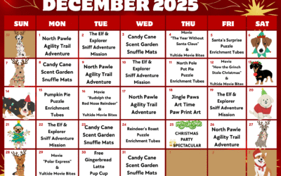 December 2025 Calendar