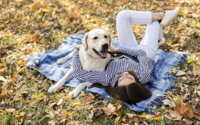Understanding Stress in Dogs — And How to Help Them Feel Calm & Confident