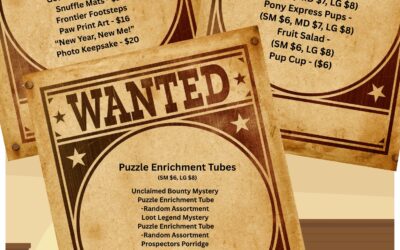 January at Canine Corral